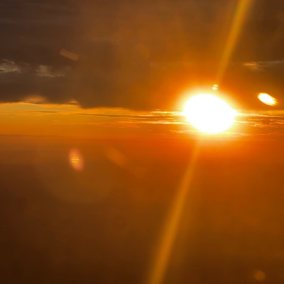 Random Pulls on Live - Picture 5 of 8